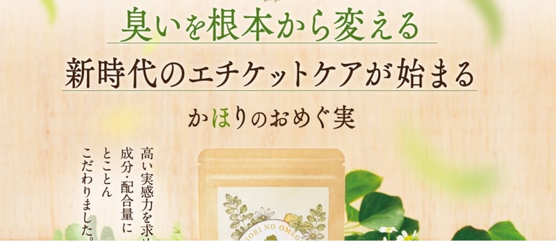 ���ق�̂��߂������T�C�g